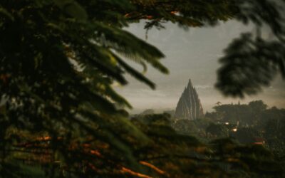 source : https://unsplash.com/photos/a-view-of-a-city-from-a-tree-PXgooHmC3ts