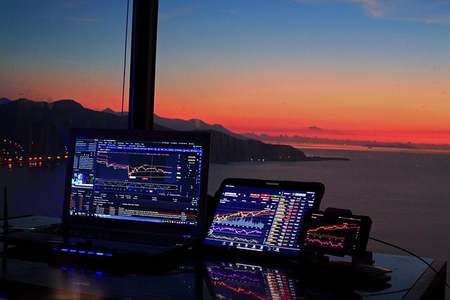 SOURCE :https://pixabay.com/photos/stock-chart-investing-market-6554463/