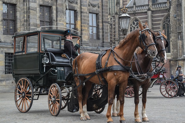 https://pixabay.com/photos/horse-carriage-coach-vintage-6581618/