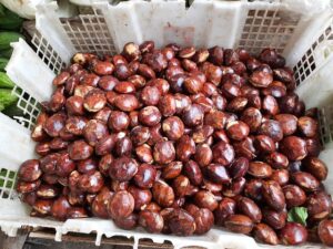 https://pixabay.com/photos/jengkol-seed-fruit-market-smell-6168613/