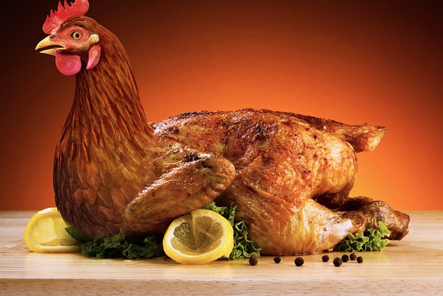 https://pixabay.com/photos/poultry-food-new-nature-chicken-3297369/