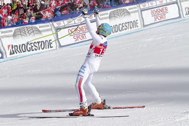 https://pixabay.com/photos/ski-race-world-cup-lauberhorn-race-2240481/